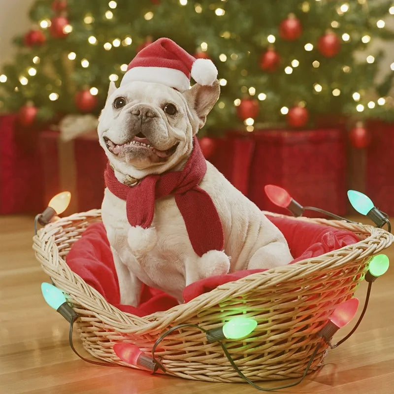 Chapeau de Noël pour chiens