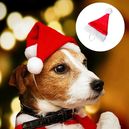 Chapeau de Noël pour chiens